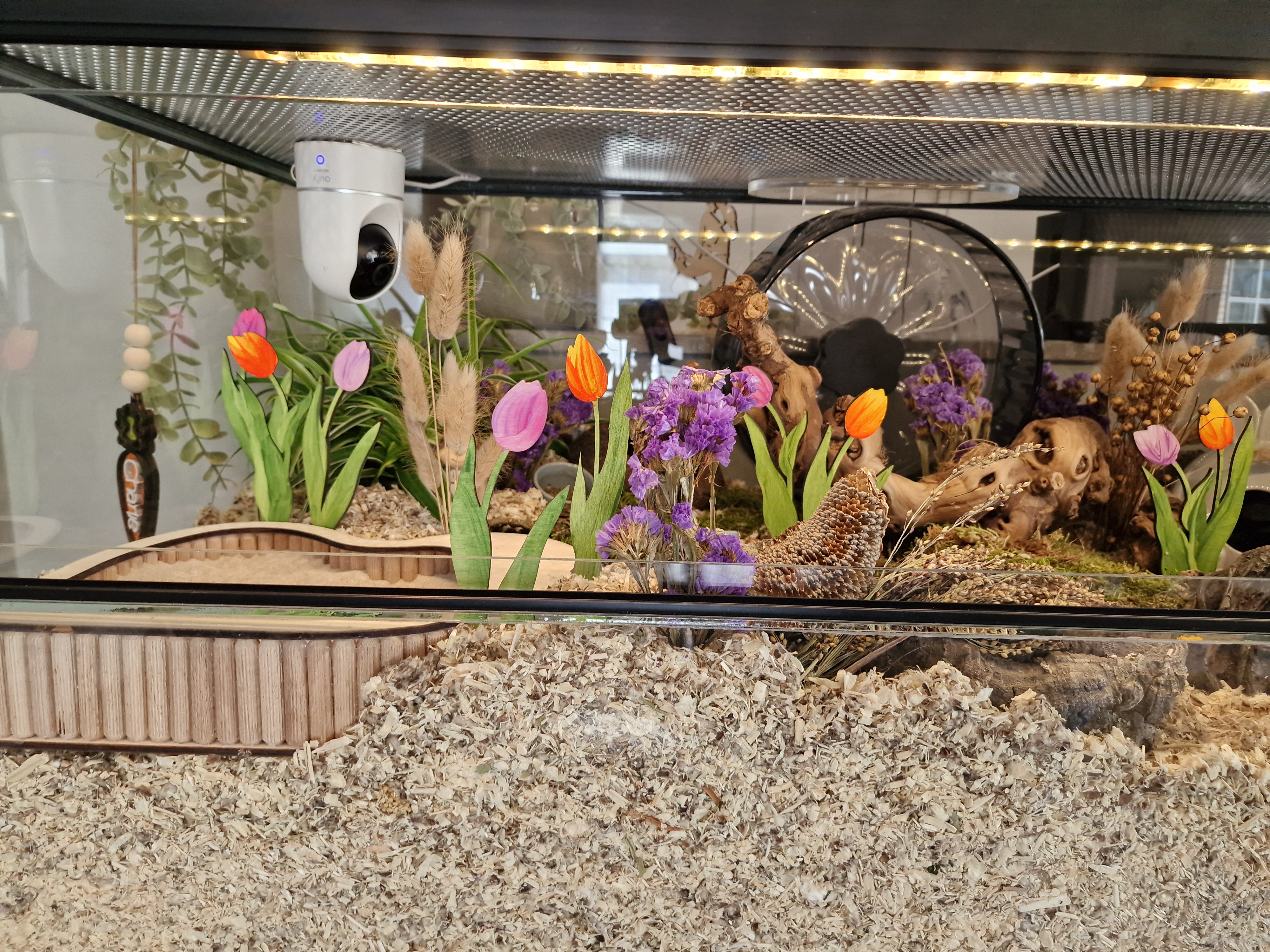 Tulp (zonder reliëf, 1 laag)