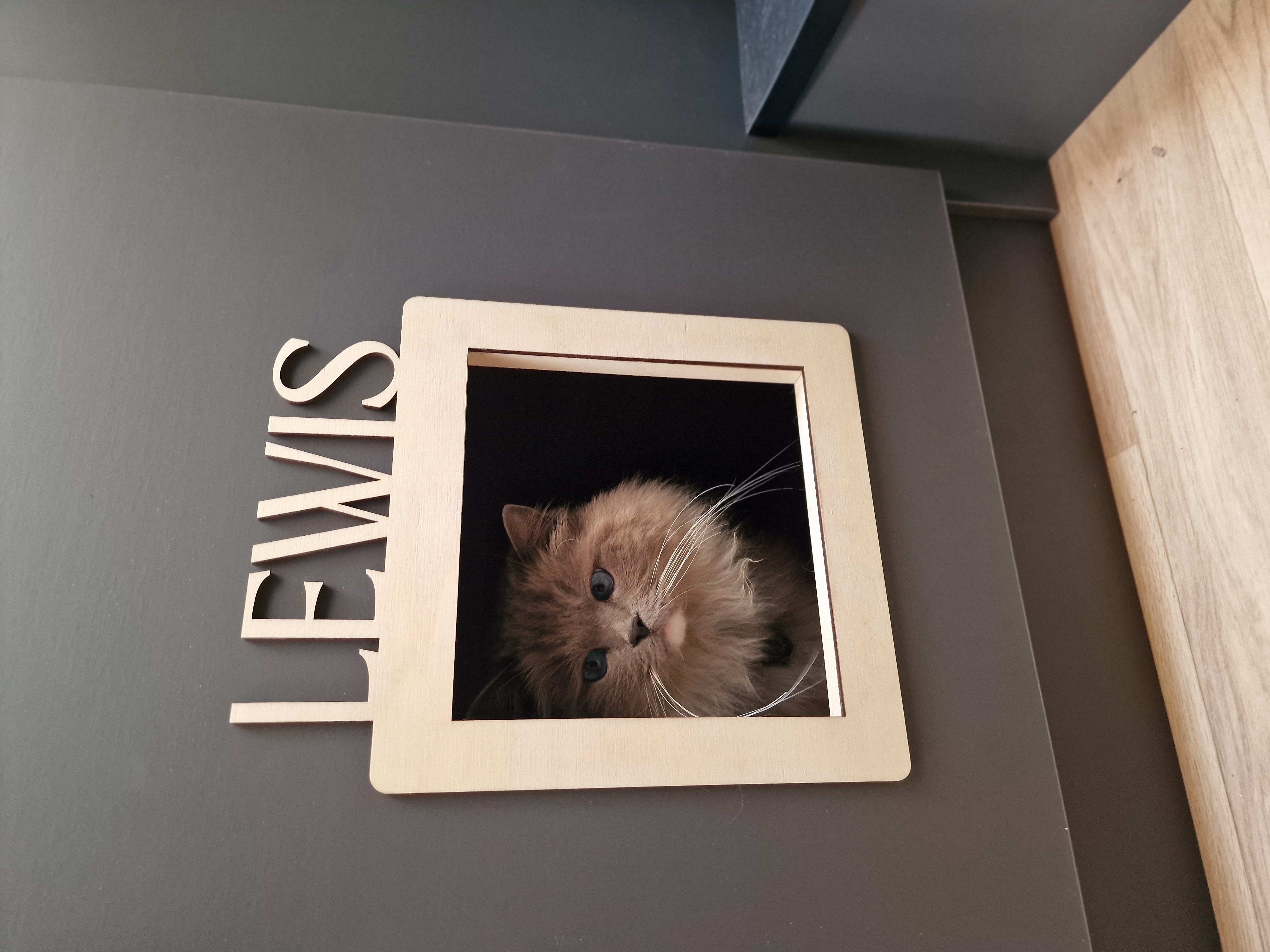 Kattenluikje voor in de camper