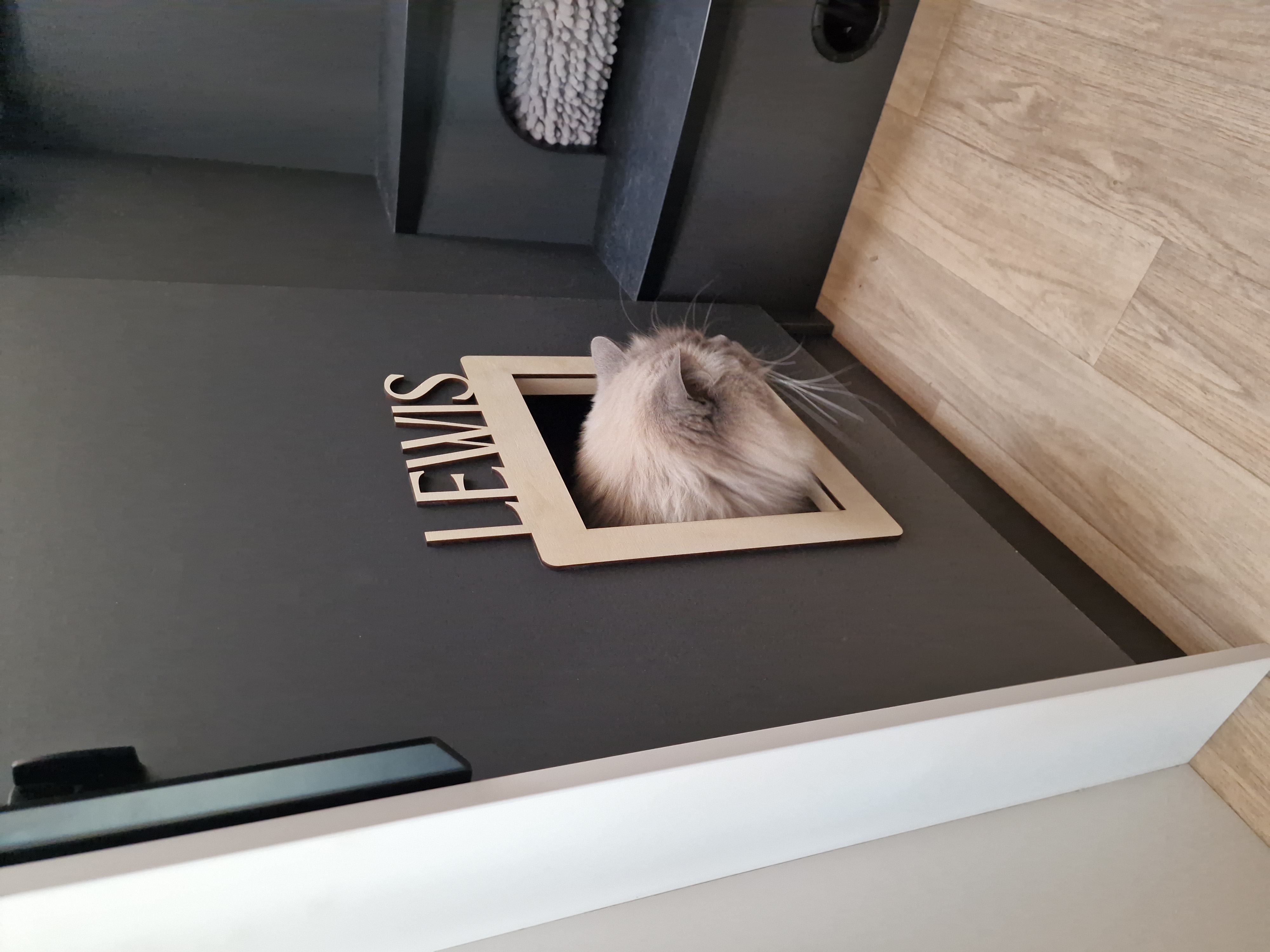 Kattenluikje voor in de camper