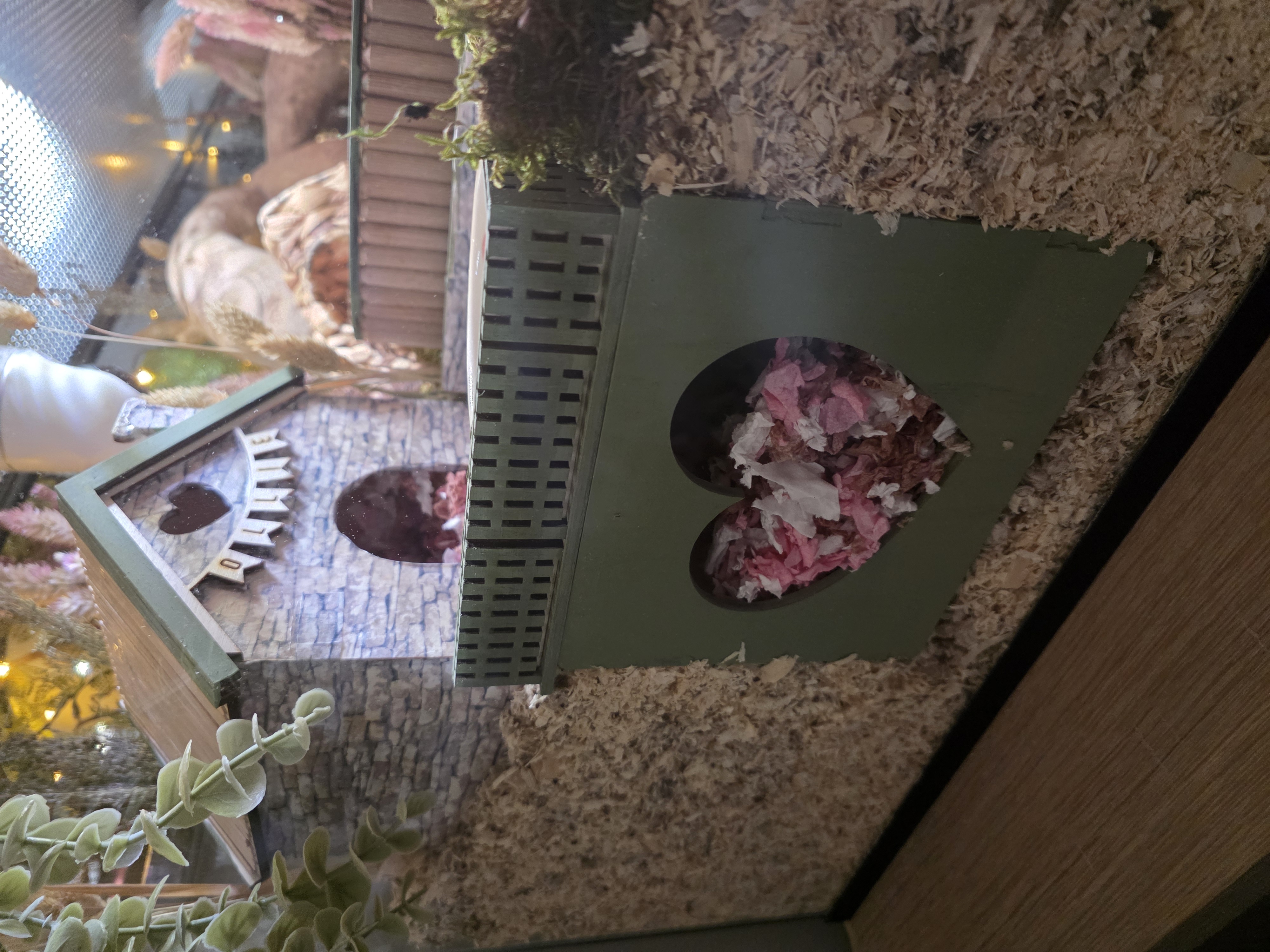 Ondergronds kamerhuisje met hartje