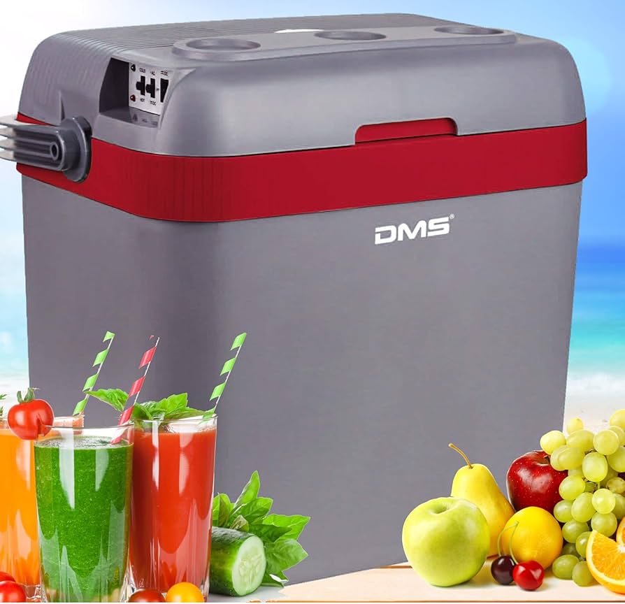 DMS® Kühlbox Kühltasche Gefriertasche 33L Getränkebox Wärmebox 12-24V LKW & PKW KB-33R - Inkl. Versand