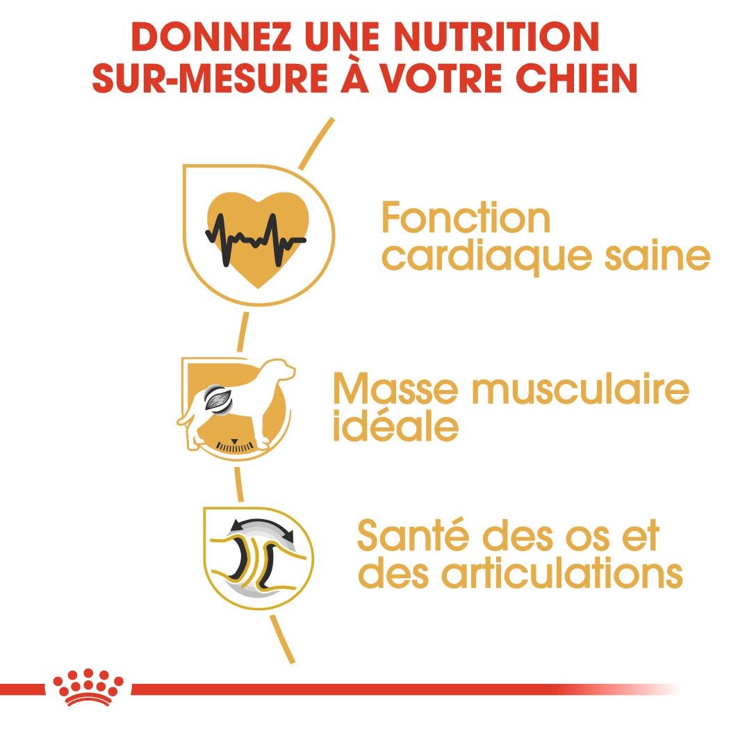 Royal Canin Rottweiler Adulte 12 Kg