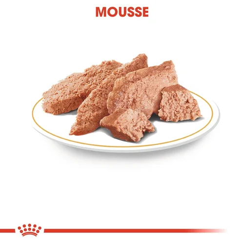 Royal Canin Mousse pour Yorkshire Terrier Adult