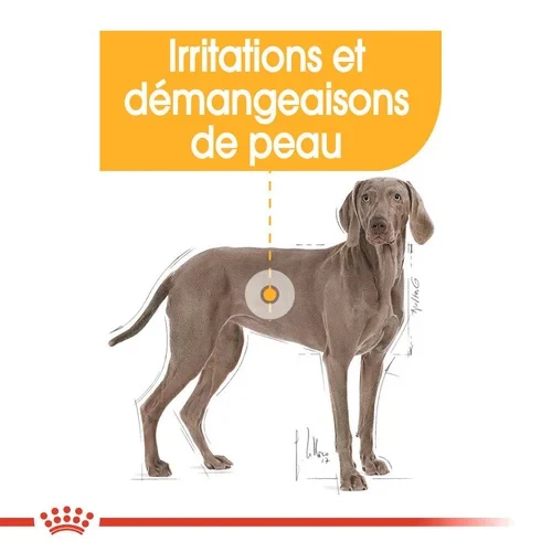 Royal Canin Maxi Dermacomfort 12 Kg