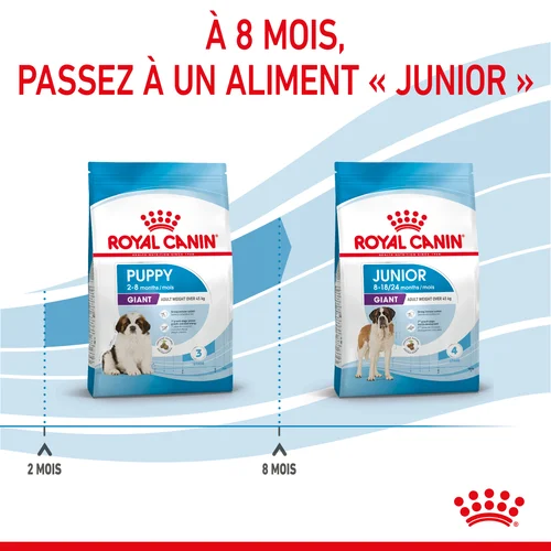 Royal Canin Giant Puppy pour chiot 15 Kg