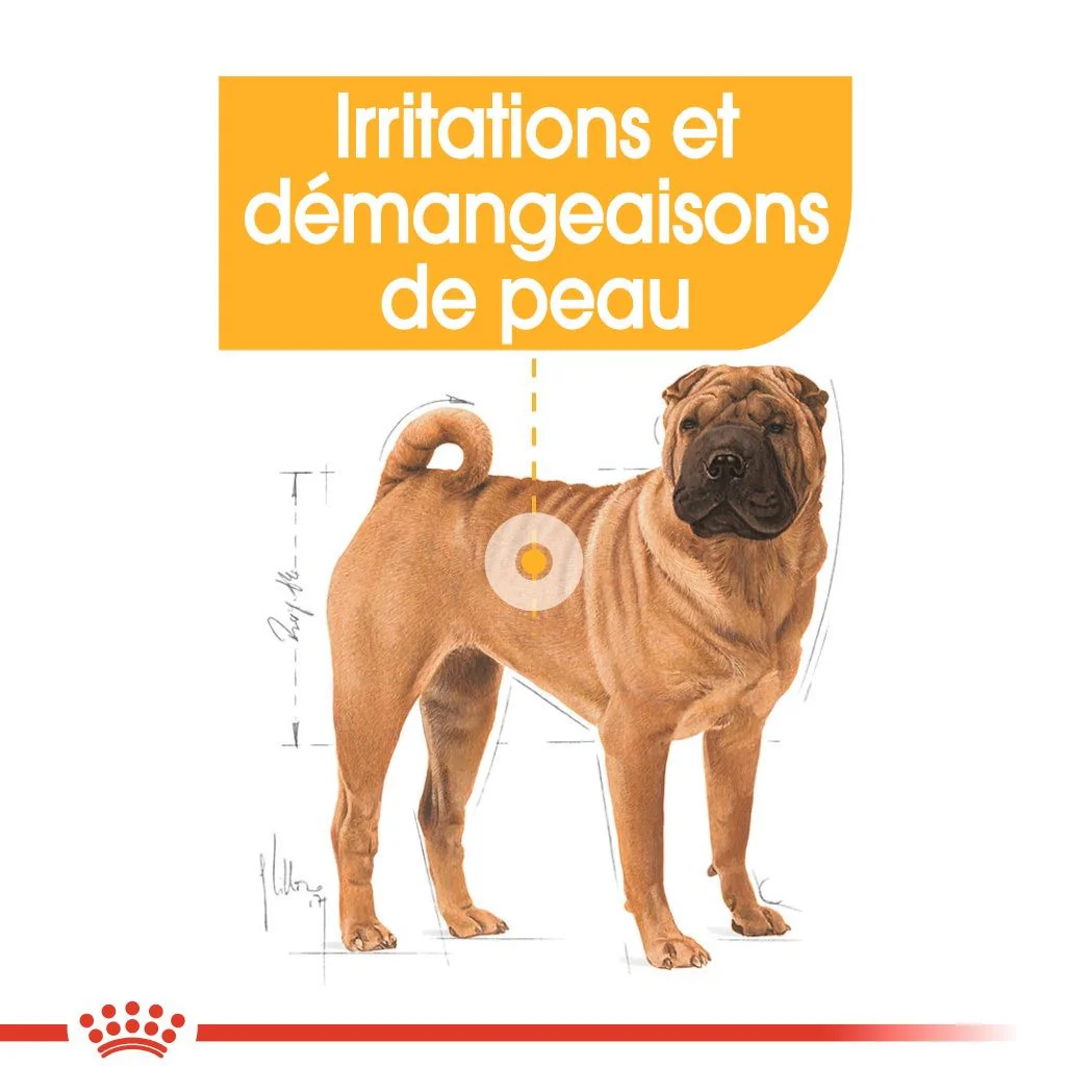 Royal Canin Medium Dermacomfort 12 Kg
