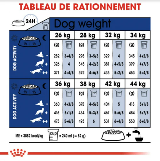 Royal Canin Maxi Ageing 8 ans et + poids 15kg
