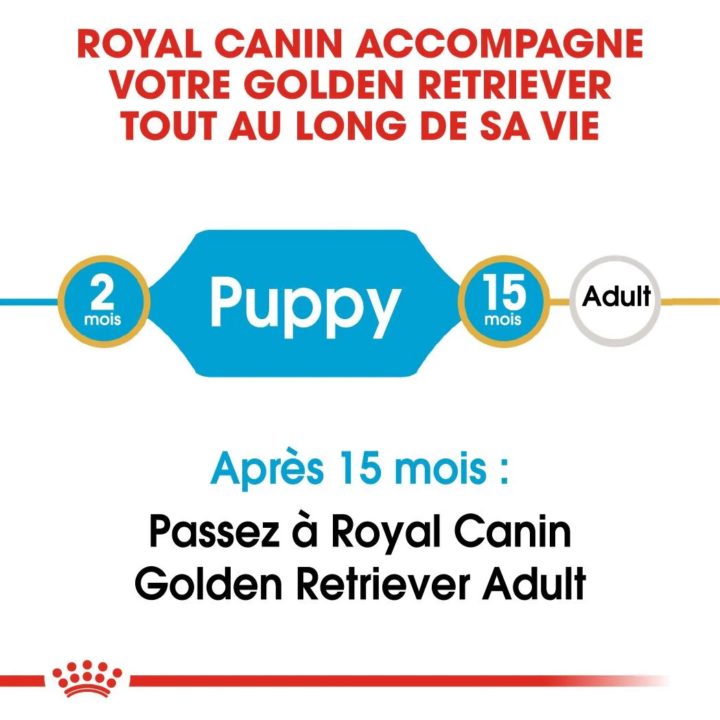Royal Canin Chiot Golden Retriever 12 Kg