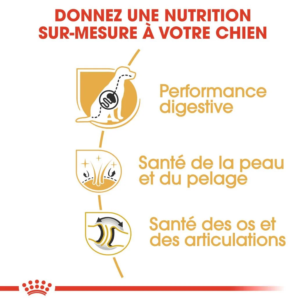 Royal Canin Berger Allemand Adulte 11 Kg