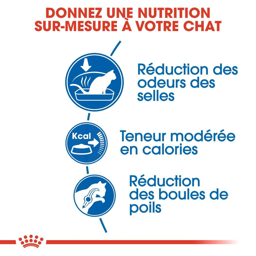 Royal Canin Indoor 27 poids 10 Kg 