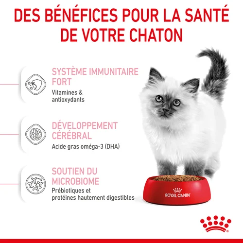 Royal Canin Kitten Différentes Tailles
