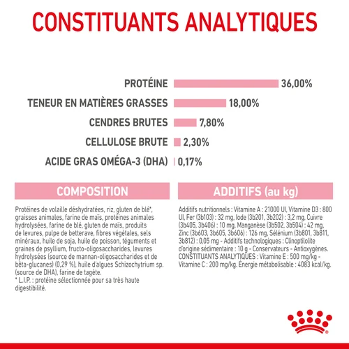 Royal Canin Kitten Différentes Tailles