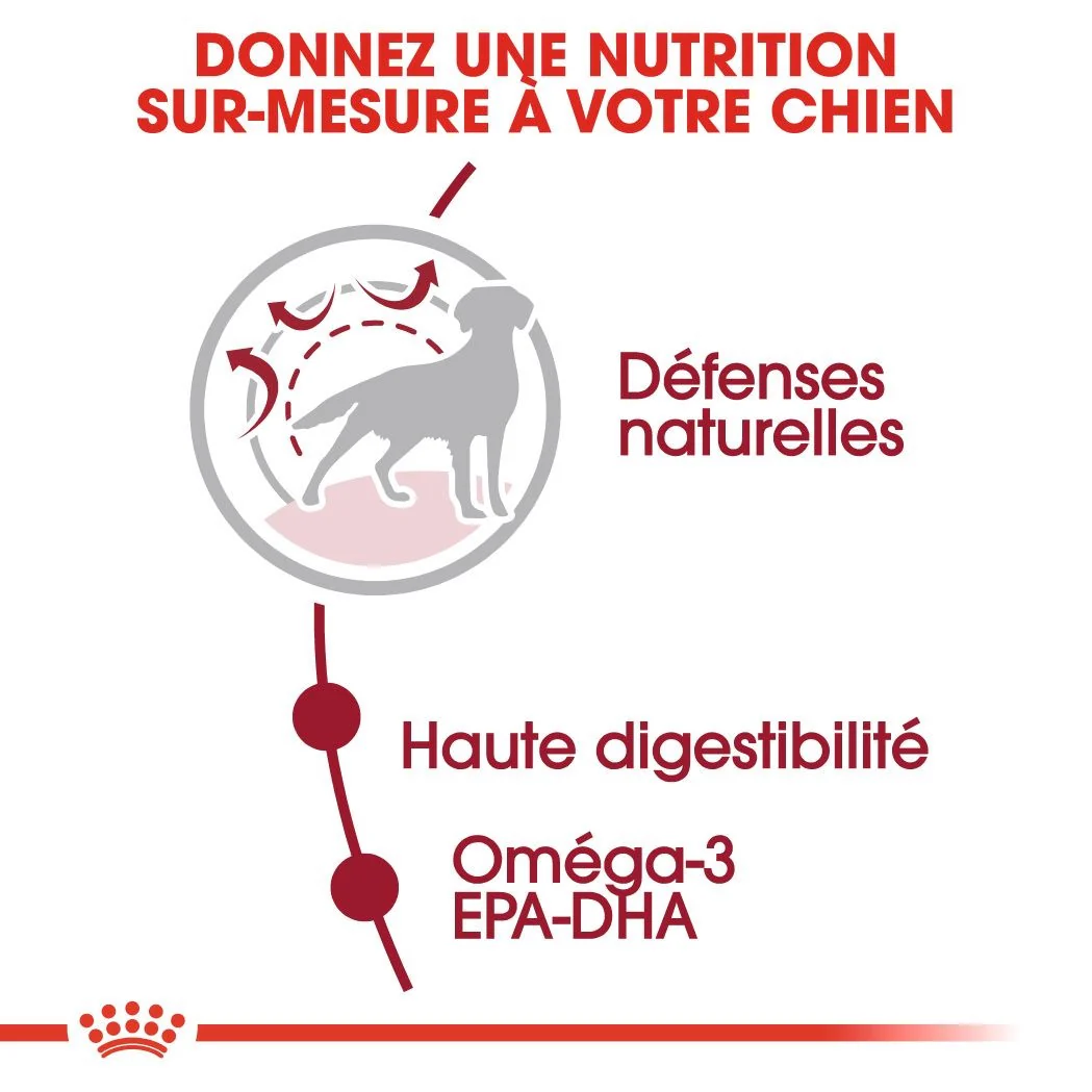 Royal Canin Medium Adult 15 Kg