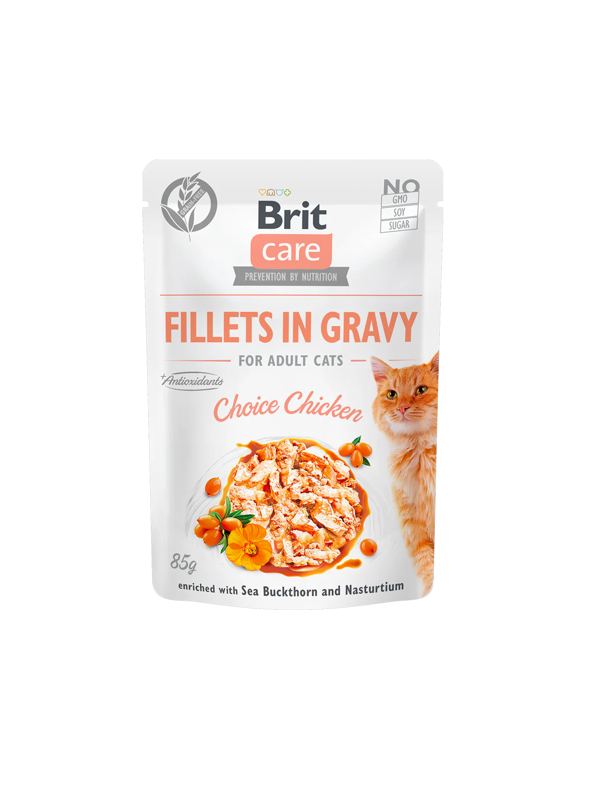 Brit Care Cat Pouch Saveur Au Choix