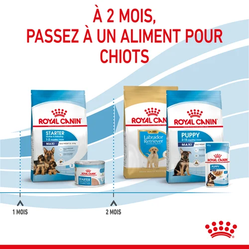 Royal Canin Maxi Starter Mother & Babydog