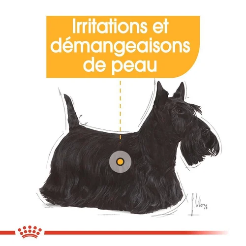 Royal Canin Mini Dermacomfort 3 Kg