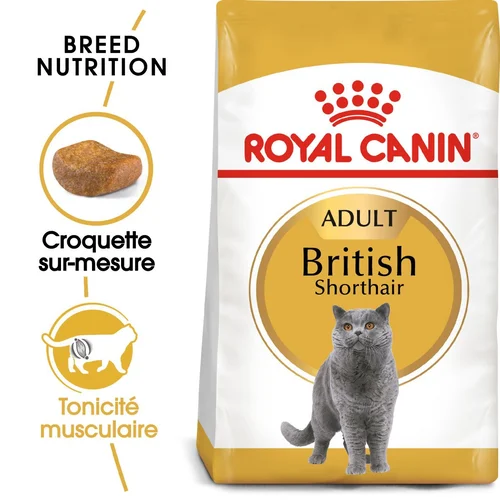 Royal Canin British Shorthair Adulte 2 Kg