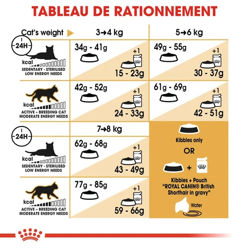Royal Canin British Shorthair Adulte 2 Kg