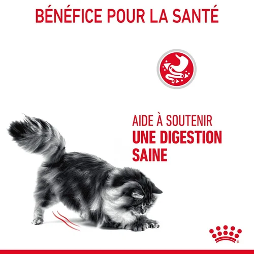 Royal Canin Digestive Care 2 Kg