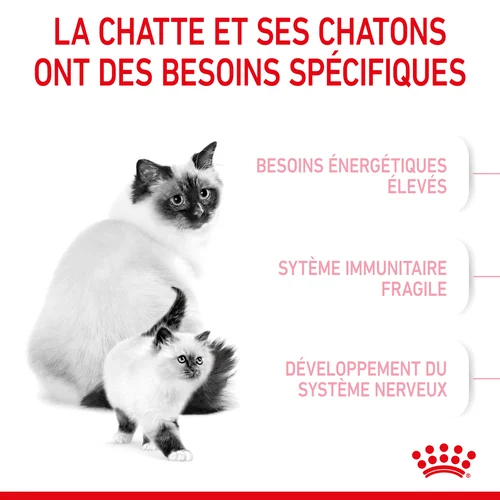 Royal Canin Mother & Babycat