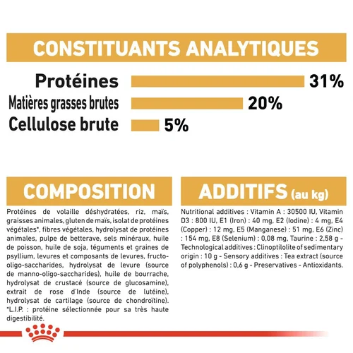 Royal Canin Maine Coon Adulte 2 Kg
