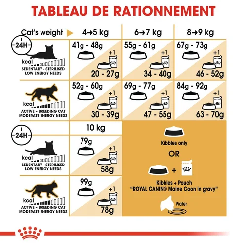 Royal Canin Maine Coon Adulte 2 Kg