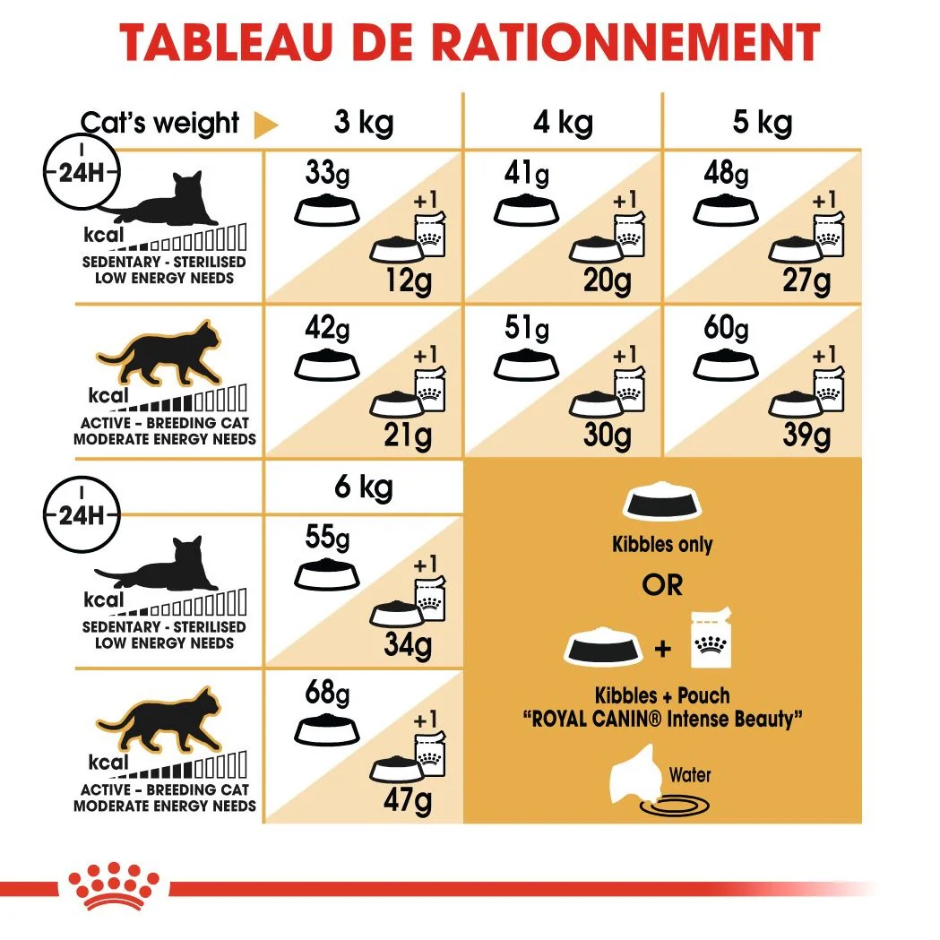 Royal Canin Siamois Adulte 2 Kg