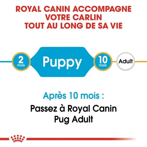 Royal Canin Chiot Carlin 1,5 Kg