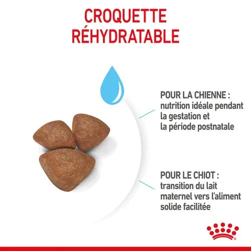 Royal Canin Mini Starter Mother & Babydog