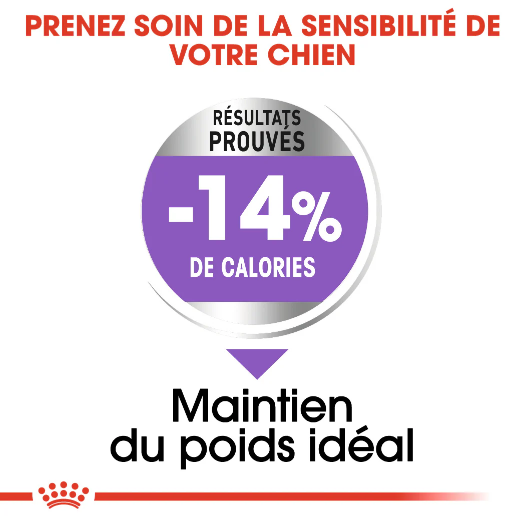 Royal Canin Mini Sterilised
