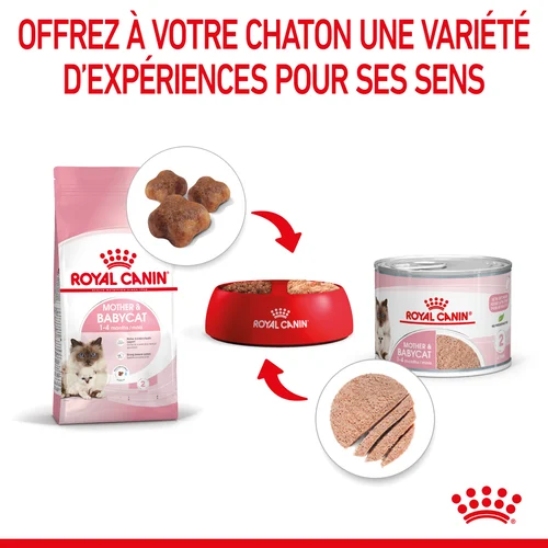 Royal Canin Mother & Babycat Mousse pour chatte et chaton 195 G