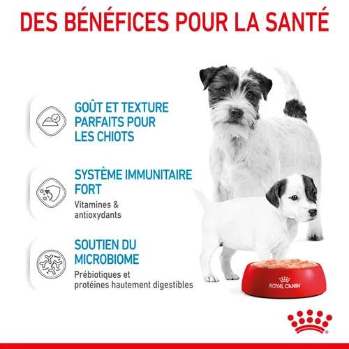 Royal Canin Starter Mother & Babydog Mousse pour chiot 195 G
