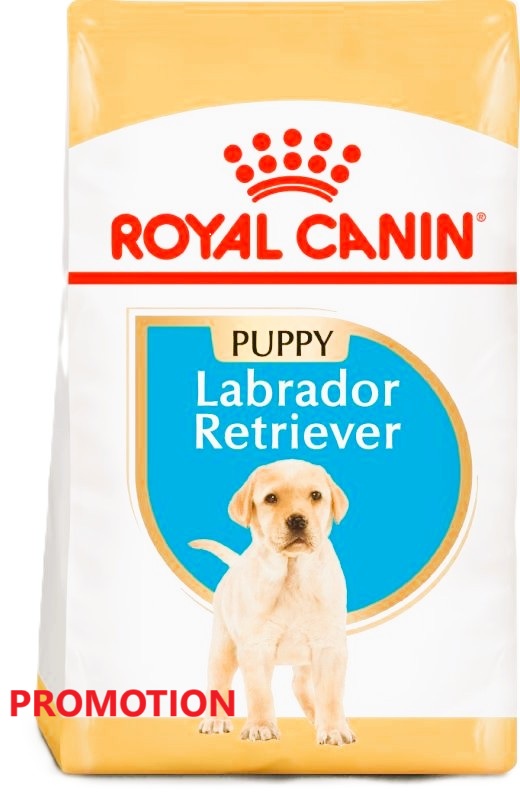 Royal Canin Chiot Golden Retriever 12 Kg