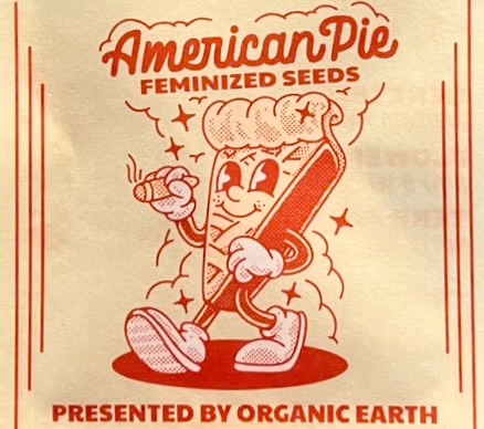 American Pie