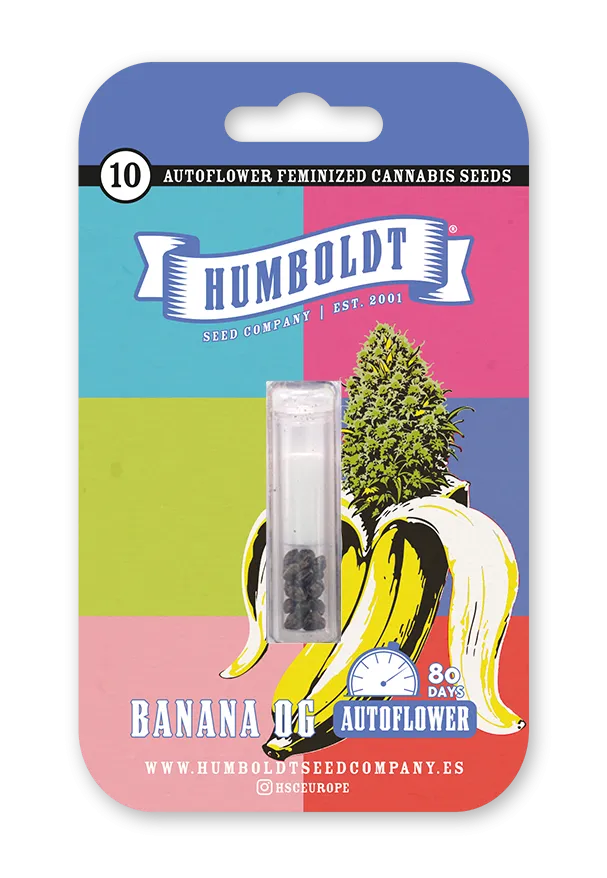 Banana OG Auto
