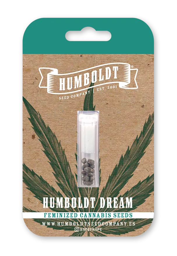 Humboldt Dream