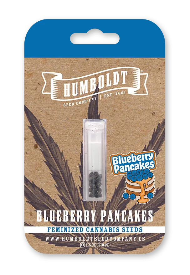 Blueberry Pancakes