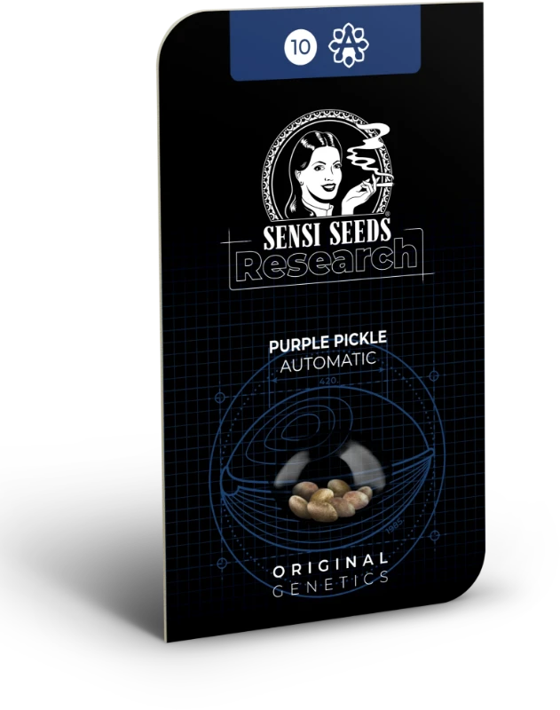 Purple Pickle Automatic