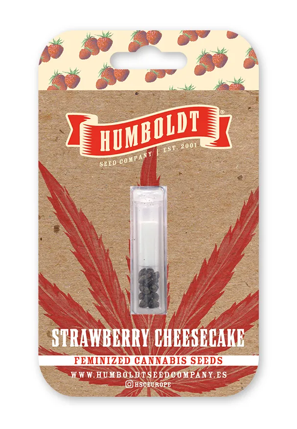 Strawberry Cheesecake