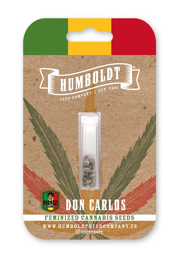 Don Carlos