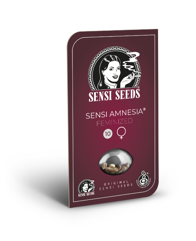 Sensi Amnesia