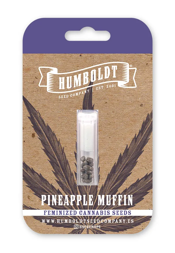 Pineapple Muffin