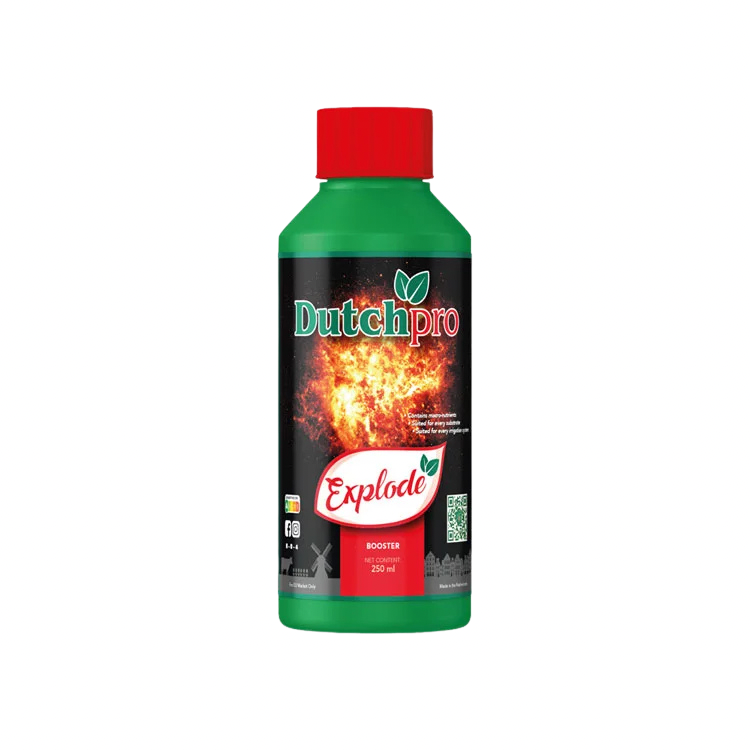 Dutchpro Explode