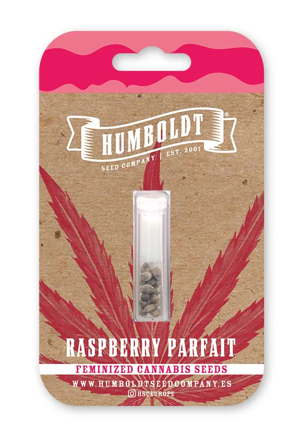 Rasberry Parfait