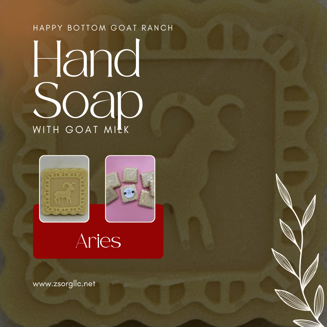 Goat Milk Hand Soap