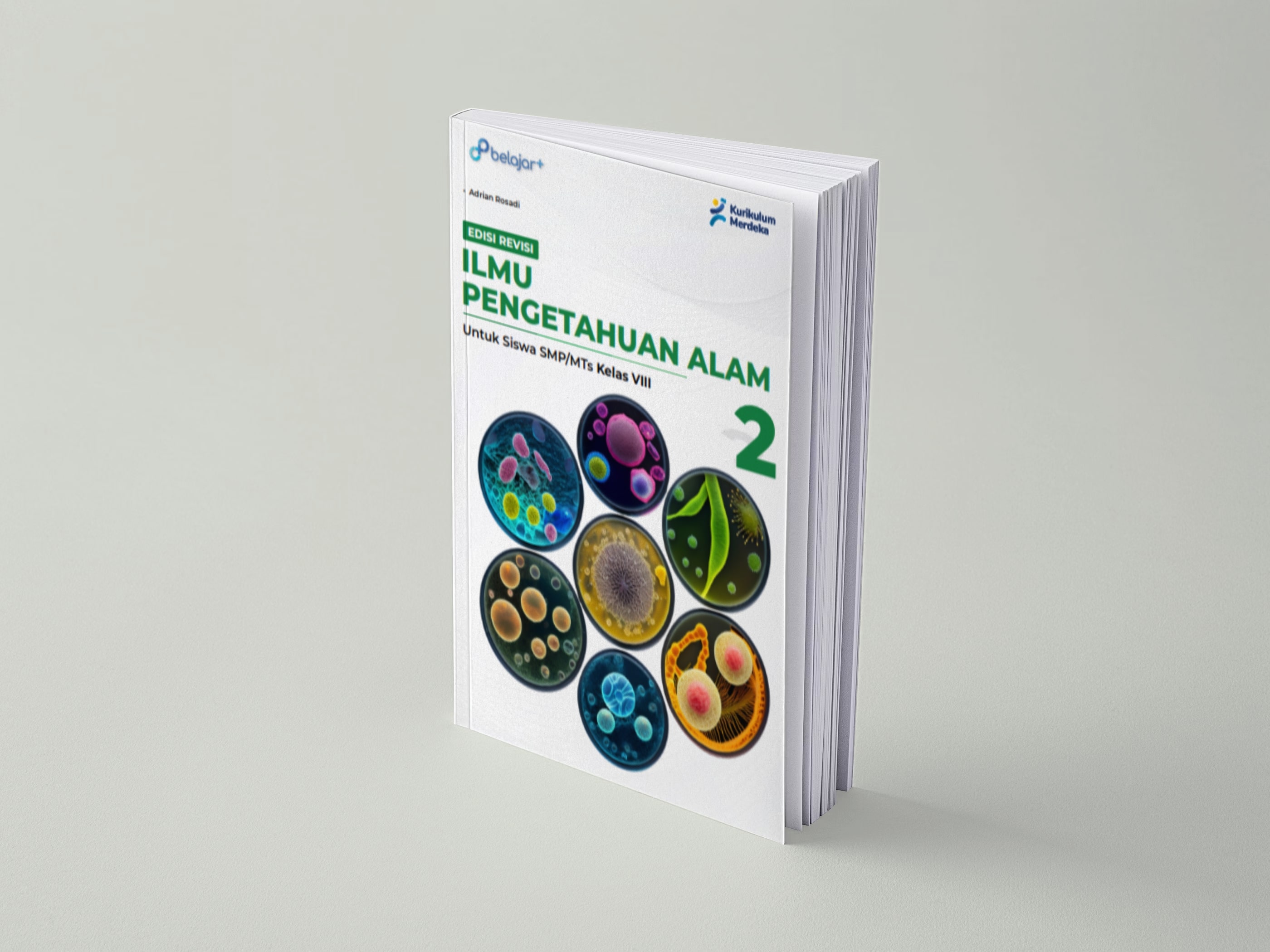 IPA VIII - Edisi Revisi 2024