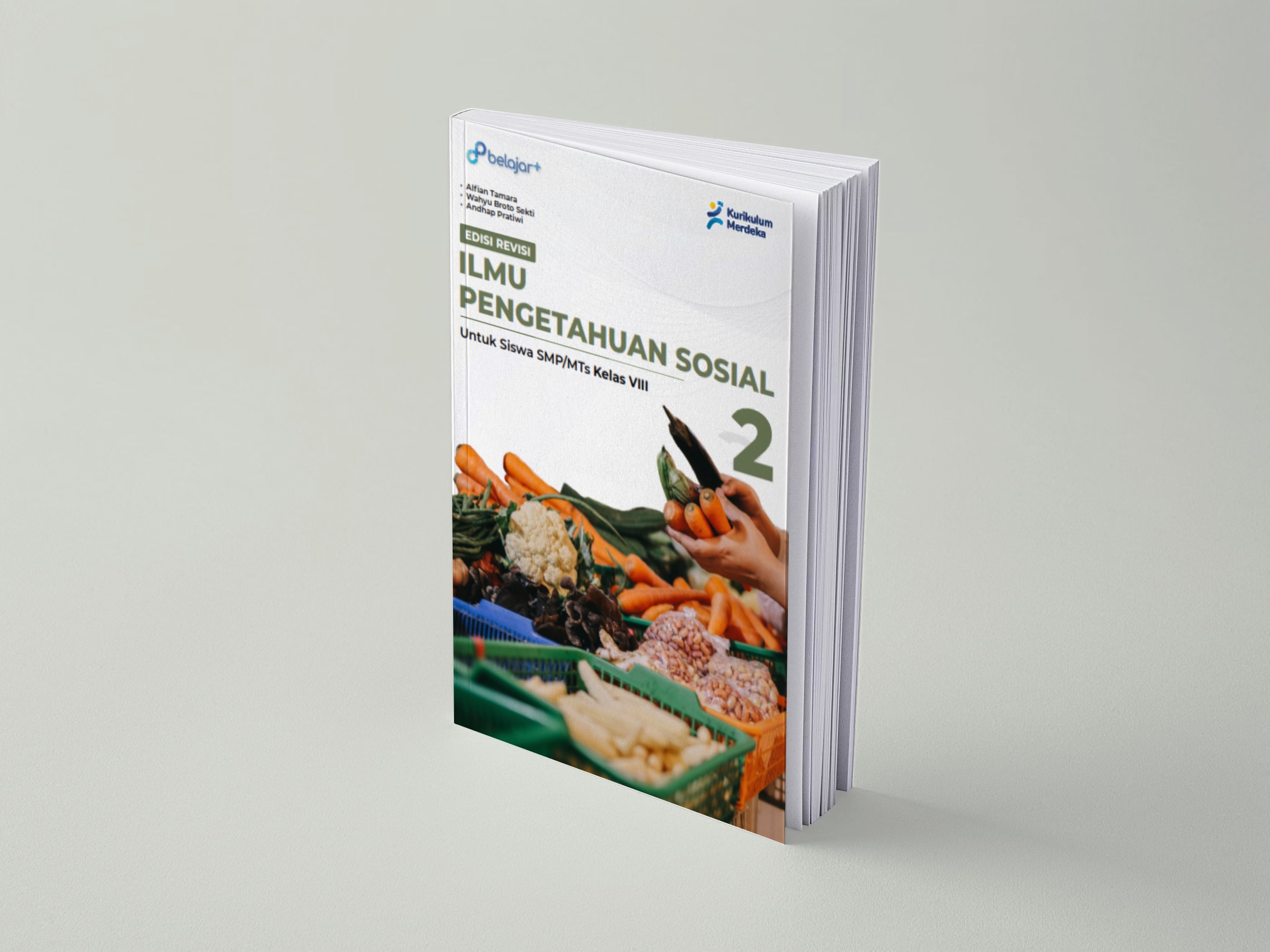 IPS VIII - Edisi Revisi 2024