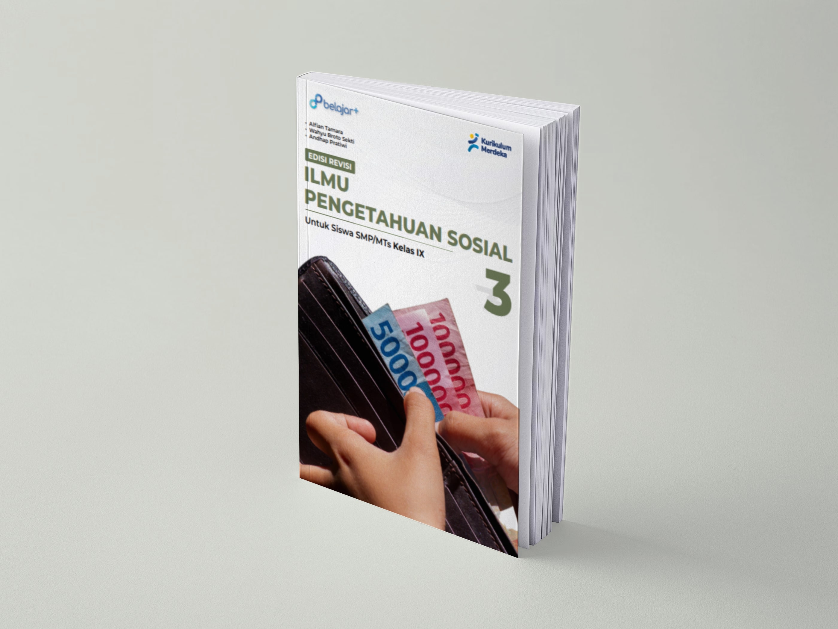 IPS IX - Edisi Revisi 2024