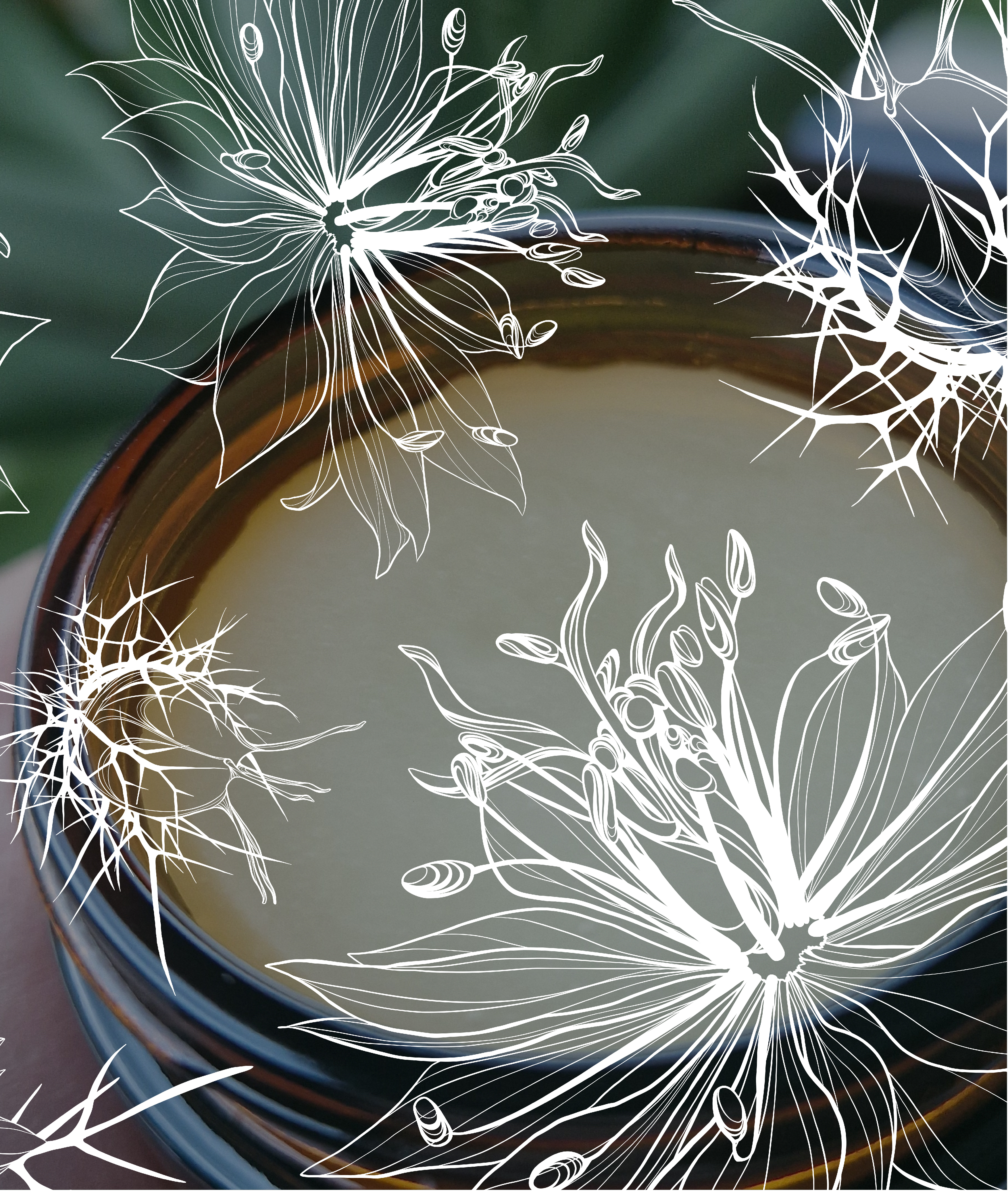 Déodorant crème 60g