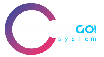 OnflowGo System um Ano